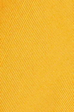 Polo Club Pantalons*Bermuda décontracté avec logo brodé Ambre