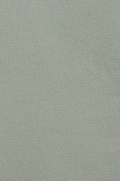 Polo Club Chemises*Chemise Slim Sefora avec logo Rigby Go Vert Clair