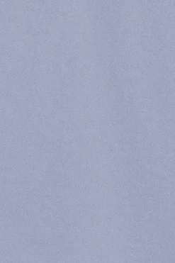 Polo Club Polos*Polo Pereira bleu lavande à cinq boutons avec broderie Rigby Go Bleu Aqua