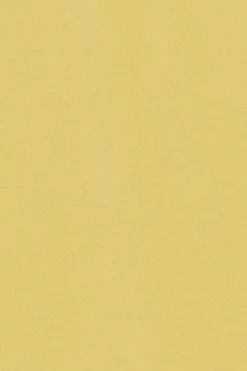 Polo Club Polos*Polo Pereira jaune clair à cinq boutons avec broderie Rigby Go Jaune tendre