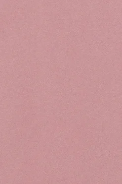 Polo Club Polos*Polo Priyanka couleur rose pastel à cinq boutons, avec broderie Rigby Go Rose poudré