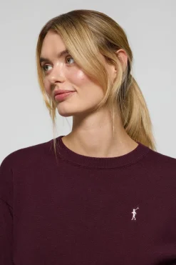 Polo Club Pulls*Pull en maille couleur prune à col en V et logo brodé Rigby Go Ciruela