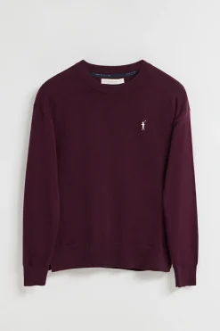 Polo Club Pulls*Pull en maille couleur prune à col en V et logo brodé Rigby Go Ciruela
