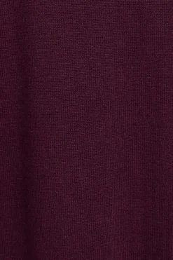 Polo Club Pulls*Pull en maille couleur prune à col en V et logo brodé Rigby Go Ciruela