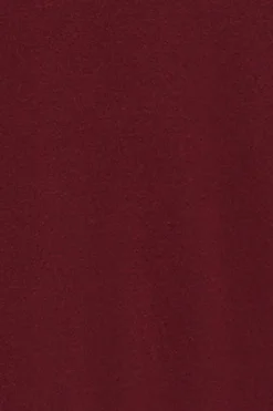 Polo Club Pulls*Pull en maille à col en V et logo brodé Rigby Go Grenat