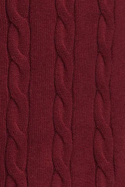 Polo Club Pulls*Pull en maille tressée en laine mélangée avec broderie Rigby Go Grenat