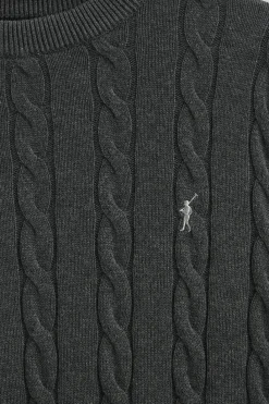 Polo Club Pulls*Pull gris foncé chiné en maille tressée en laine mélangée avec broderie Rigby Go Vigoré Gris Foncé
