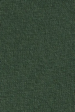 Polo Club Pulls*Pull vert boue à col en V en laine mélangée avec broderie Rigby Go Vert chaud