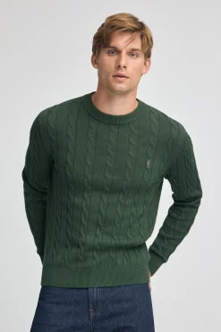 Polo Club Pulls*Pull vert boue en maille tressée en laine mélangée avec broderie Rigby Go Vert chaud