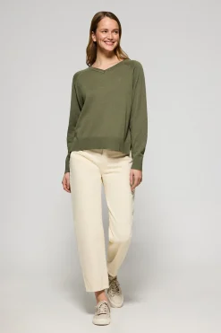 Polo Club Pulls*Pull vert clair à col en V en coton et en lin avec un monogramme brodé Vert sauge