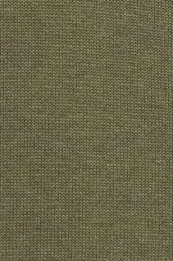 Polo Club Pulls*Pull vert clair en lin et coton à col ras du cou et broderie Rigby Go Vert sauge