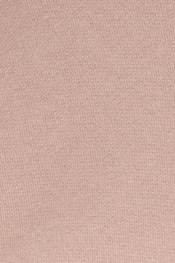 Polo Club Sweat-Shirts*Sweat avec capuche et logo Rose pâle