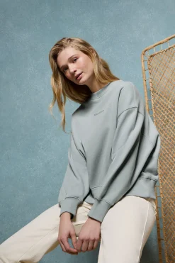 Polo Club Sweat-Shirts*Sweat-shirt basique à col ras du cou couleur grisâtre Minimal Gris argenté