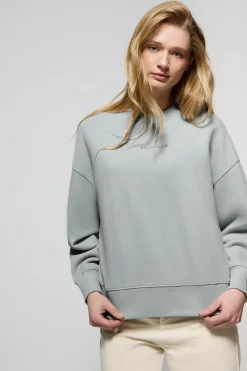 Polo Club Sweat-Shirts*Sweat-shirt basique à col ras du cou couleur grisâtre Minimal Gris argenté