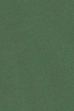 Polo Club T-Shirts*T-shirt basique vert à manches longues avec logo Rigby Go Vert chaud
