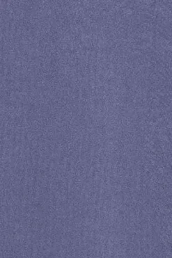 Polo Club T-Shirts*T-shirt à col ras cou teint sur le tissu et logo caoutchouté Bleu océan