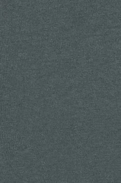 Polo Club T-Shirts*T-shirt à col rond et broderie Rigby Go Gris Pierre