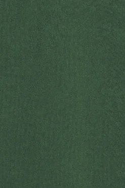 Polo Club T-Shirts*T-shirt vert à col ras cou teint sur le tissu et logo caoutchouté Vert chaud