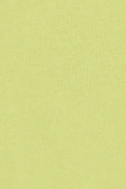 Polo Club T-Shirts*T-shirt vert citron à col rond et broderie Rigby Go Citron Vert